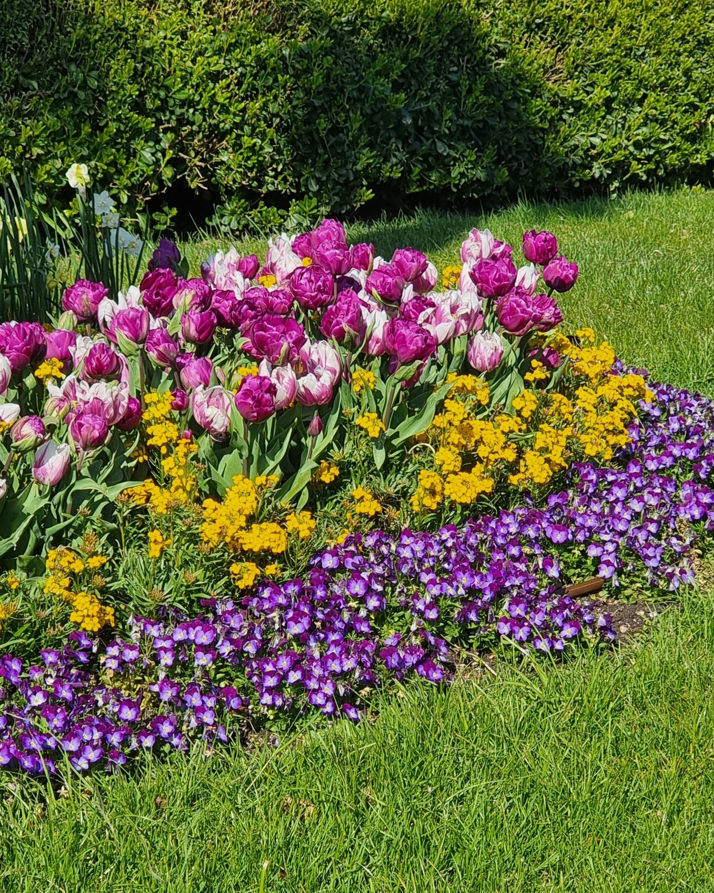 Grünwerk-Team bei der Gartenarbeit in Rostock